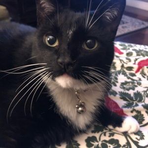 Meet your Posher, Martha